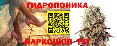 гашик Малоярославец