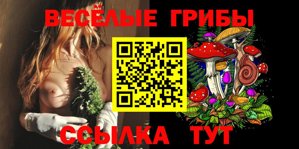 Псилоцибиновые грибы GOLDEN TEACHER Тосно